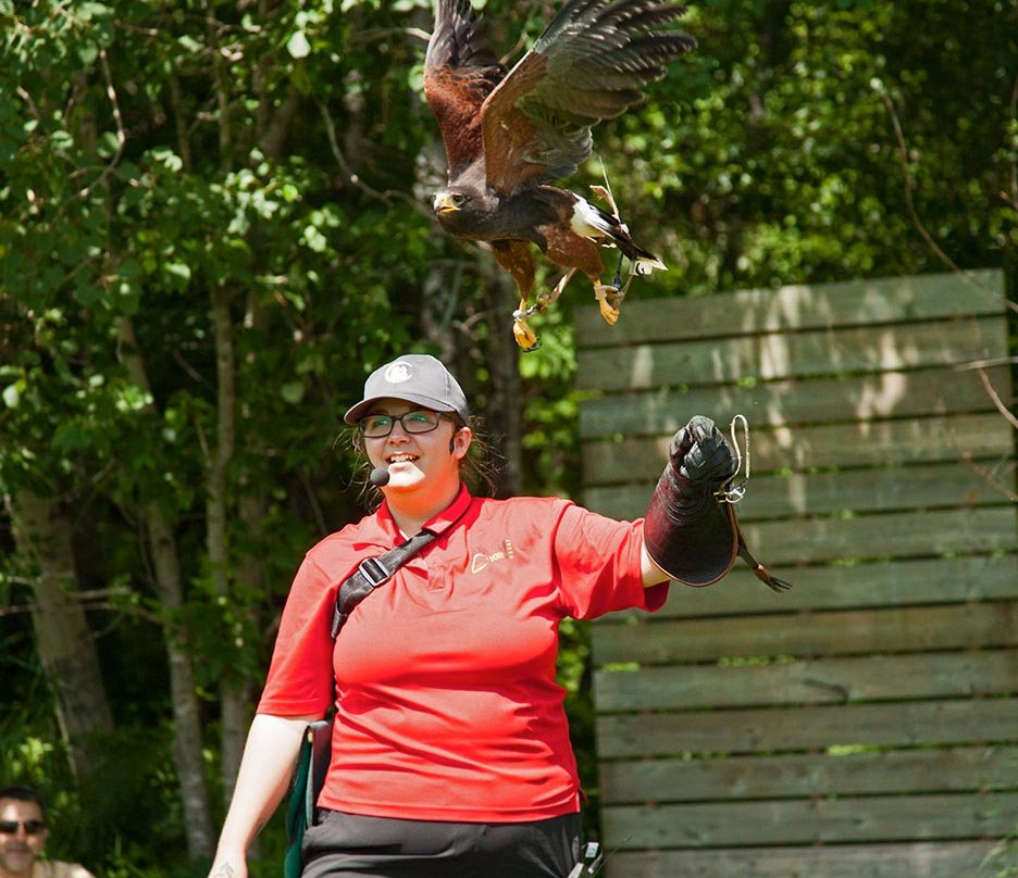 Chouette a voir!-Saint-Jude必去景点