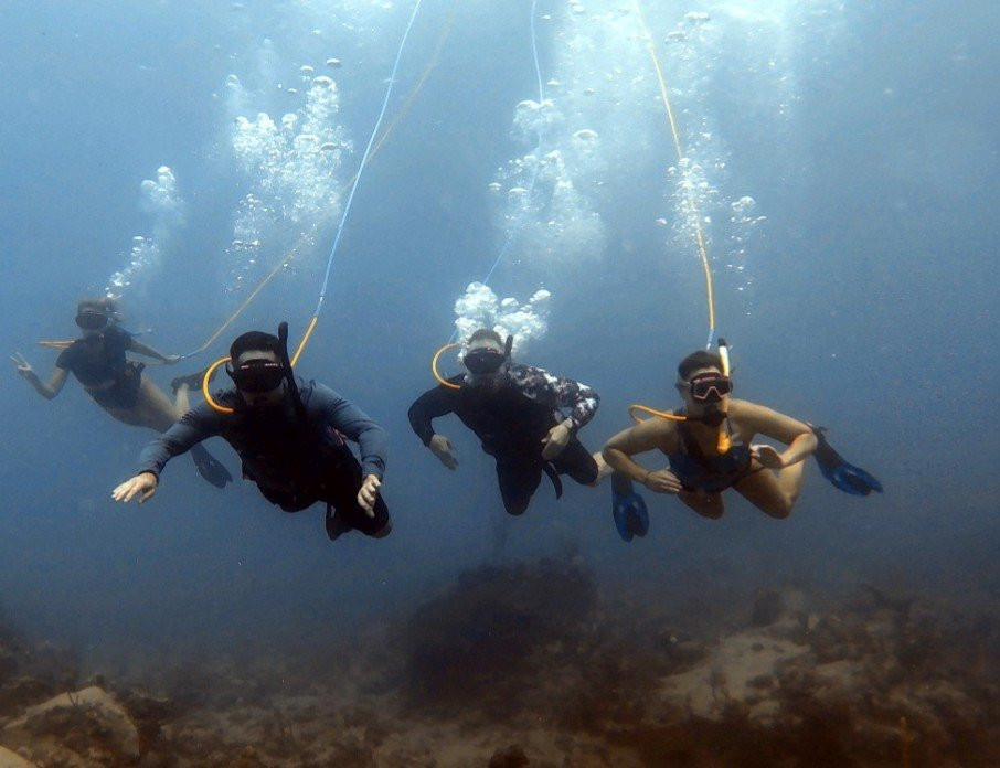 Leverick Bay Resort主图