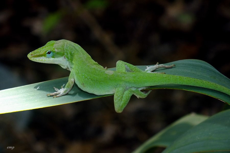 Riverside Nature Center-克尔维尔必去景点