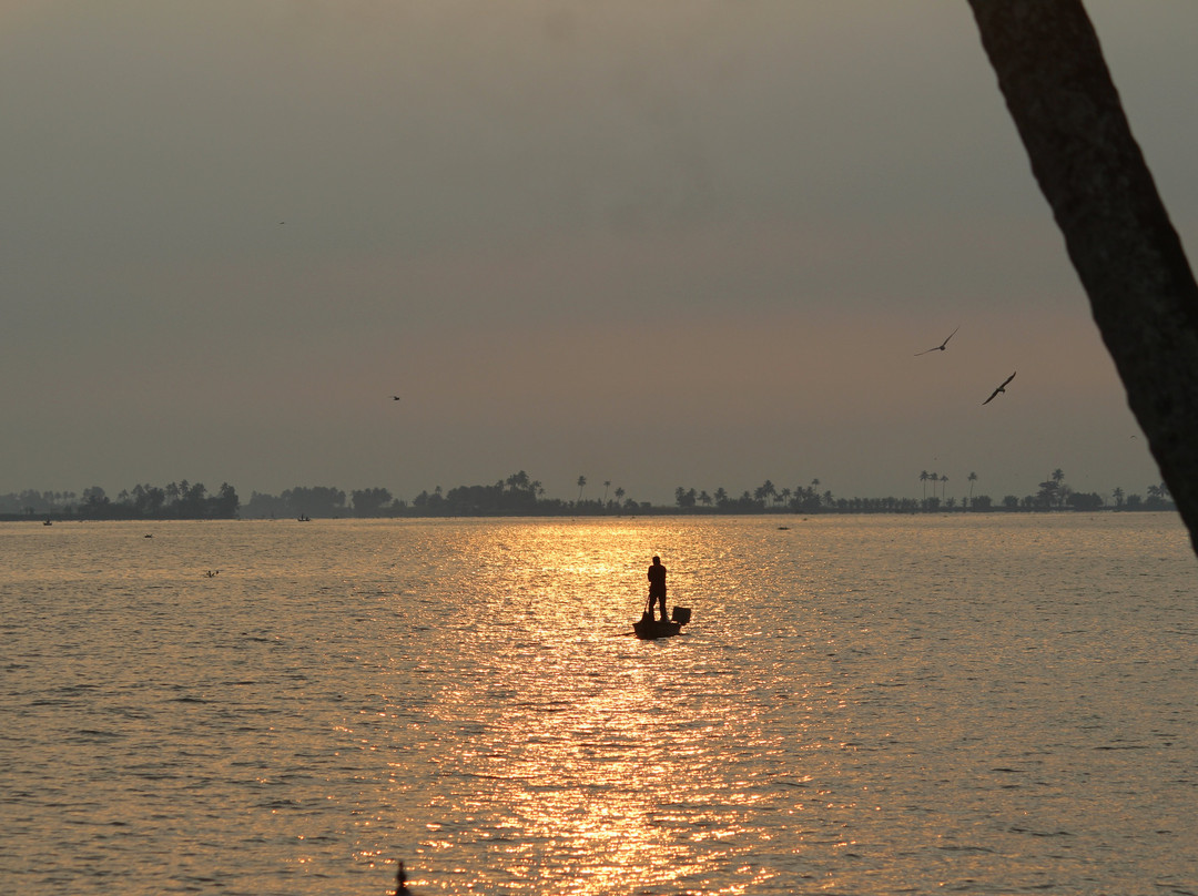 Uday Backwater Resort主图