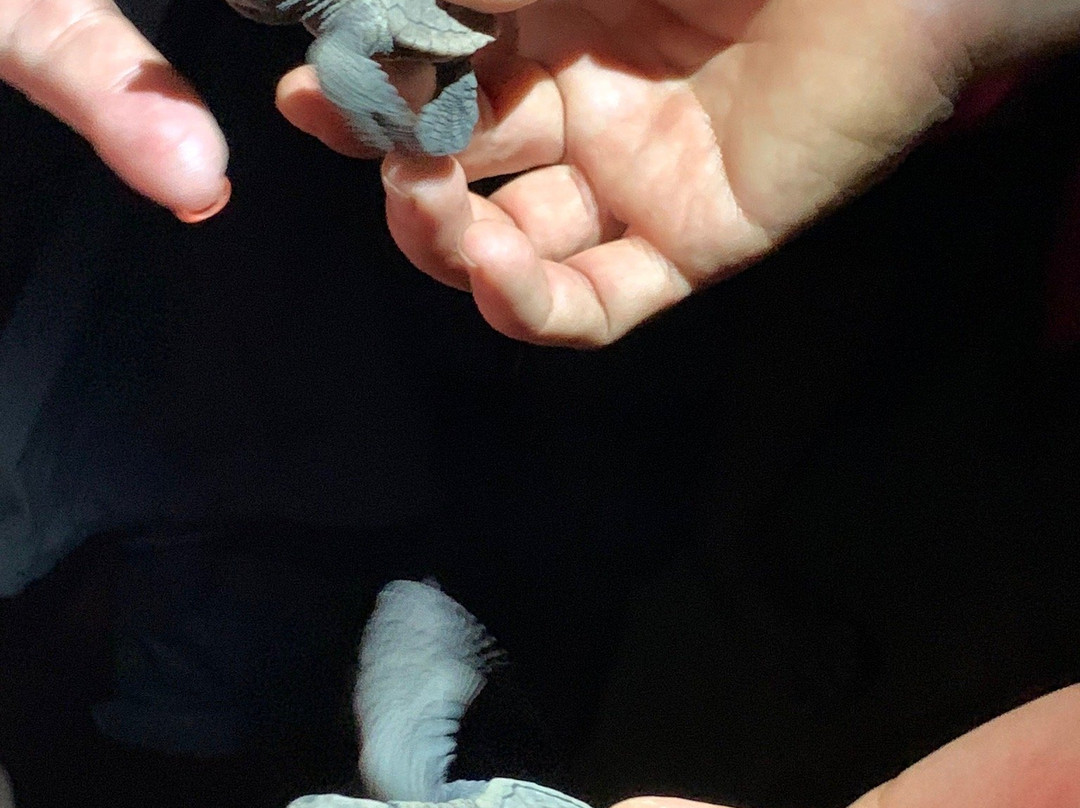 曼塔巴加拉酒店主图