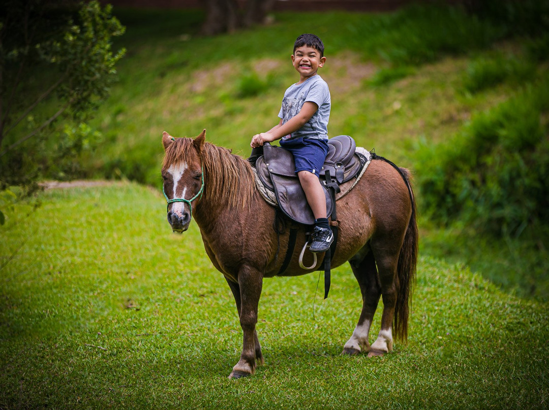 Hotel Fazenda Santa Maria主图