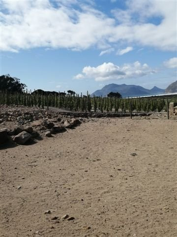 Imhoff Farm-Kommetjie必去景点