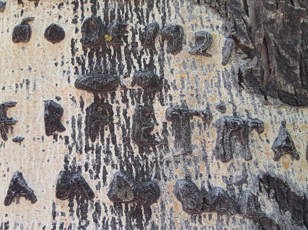 Mount Taylor-Grants必去景点