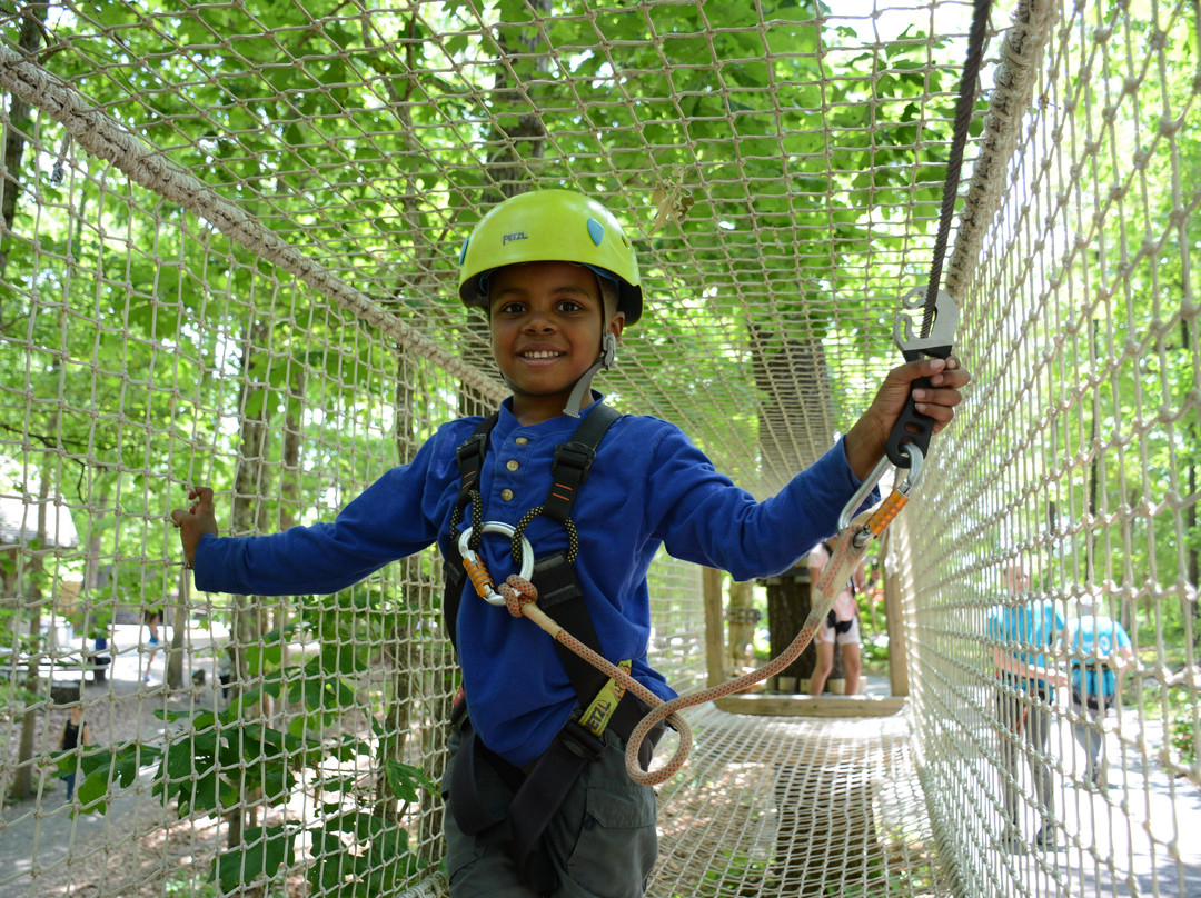 Treetop Quest Greenville-格林维尔必去景点