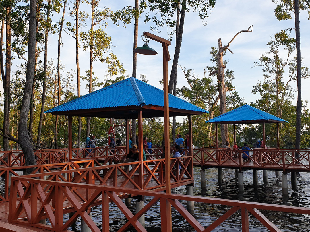 Ruar Mangrove Forest Park-Biak必去景点