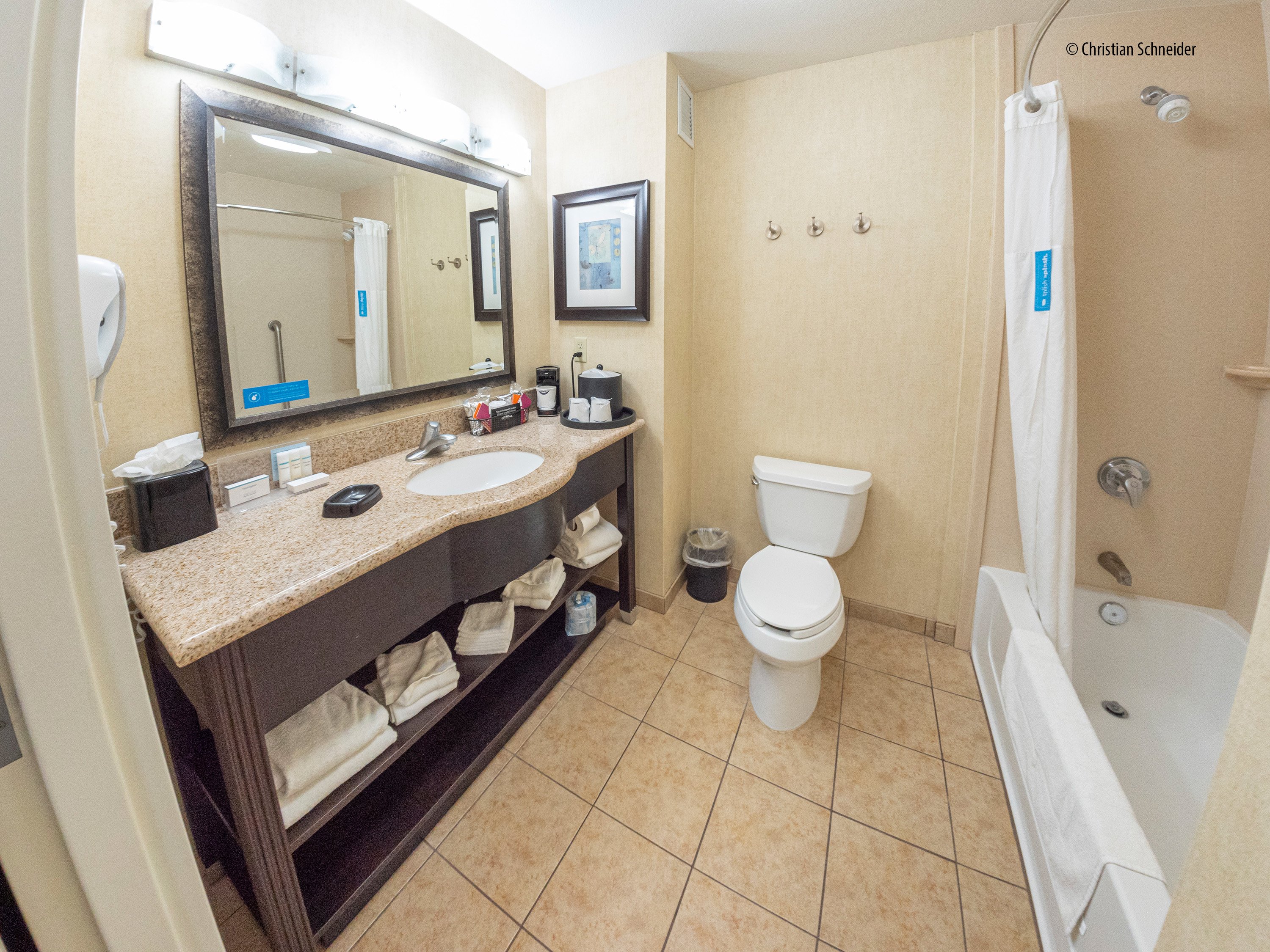 Hampton Inn & Suites Barstow-浴室