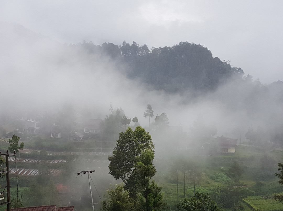 Glamping di Jungle, Ciwidey主图