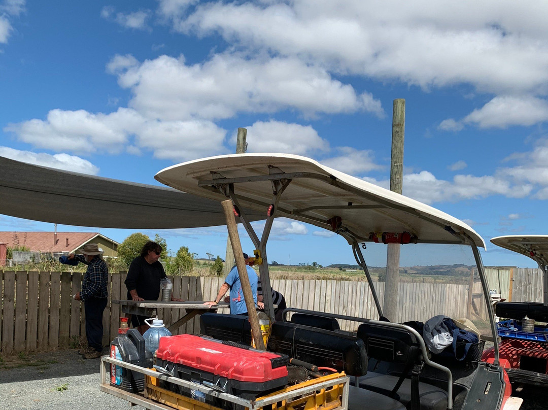 Dargaville Rail & River Tours景点图片