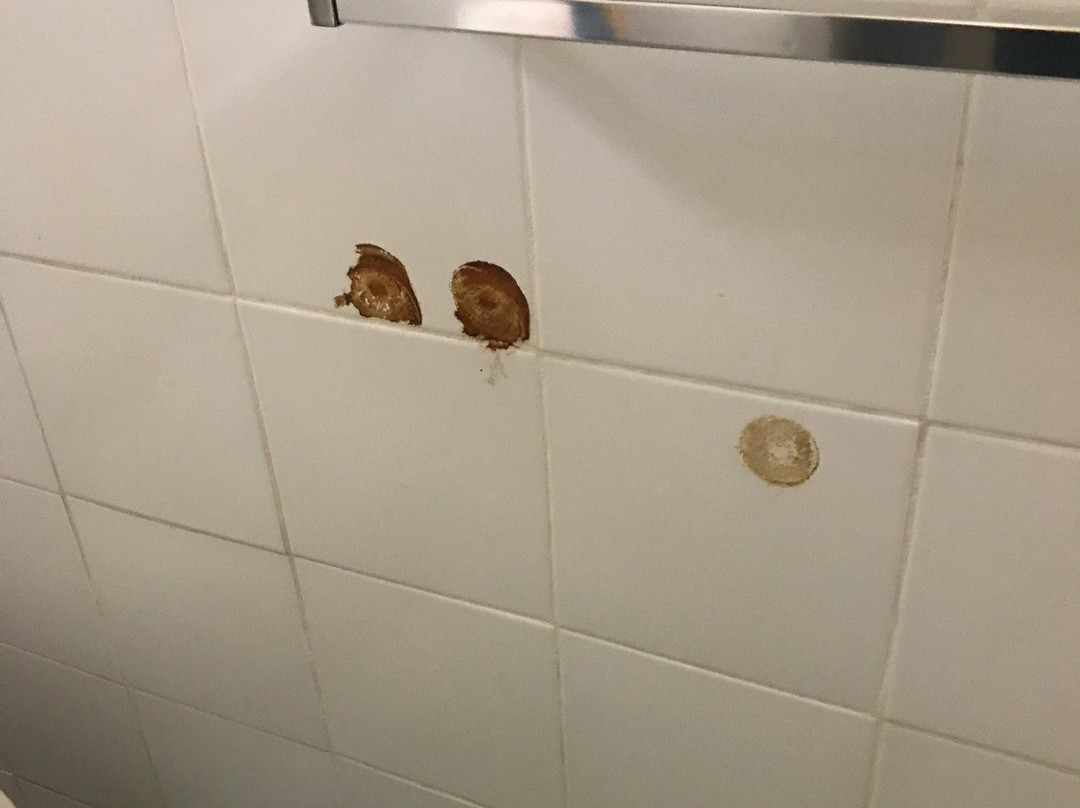 Coco Palm Garden & Casa Oleander主图