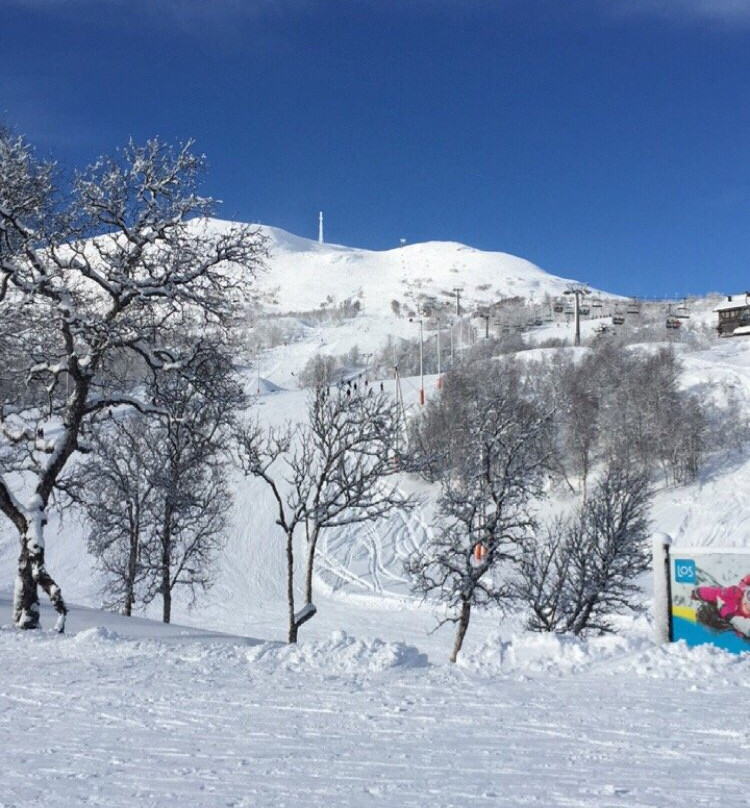 Hovden Alpinsenter景点图片