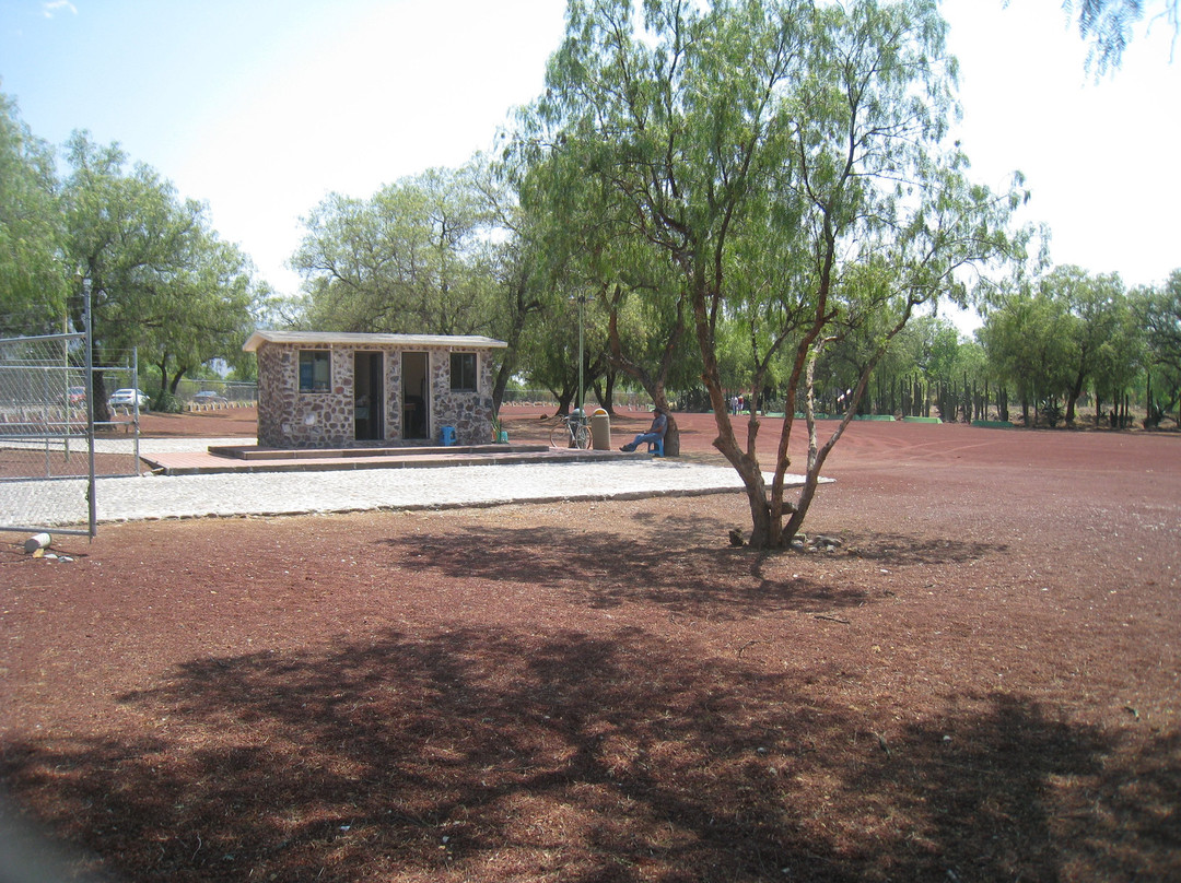 Museo De Los Murales Teotihuacanos - Beatriz de La Fuente景点图片