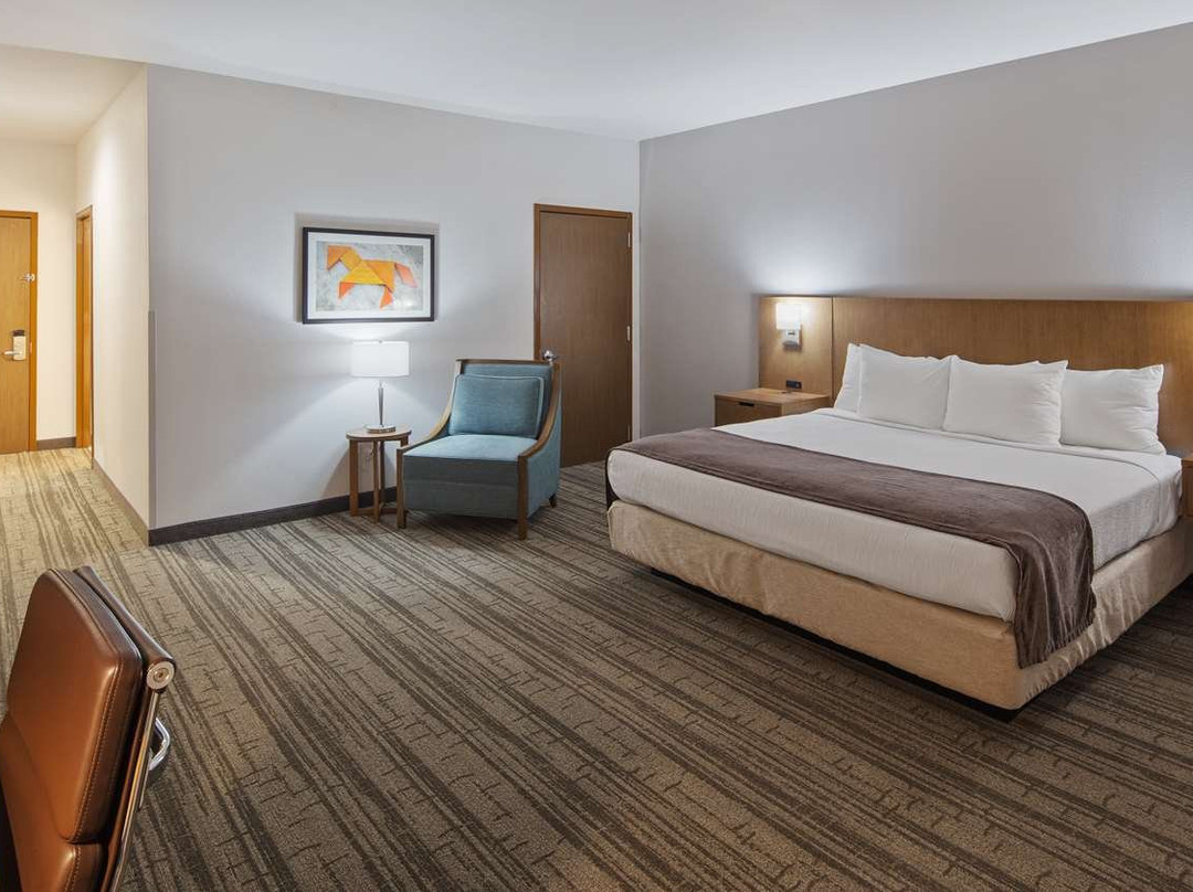 Best Western Green Oak Inn & Suites主图