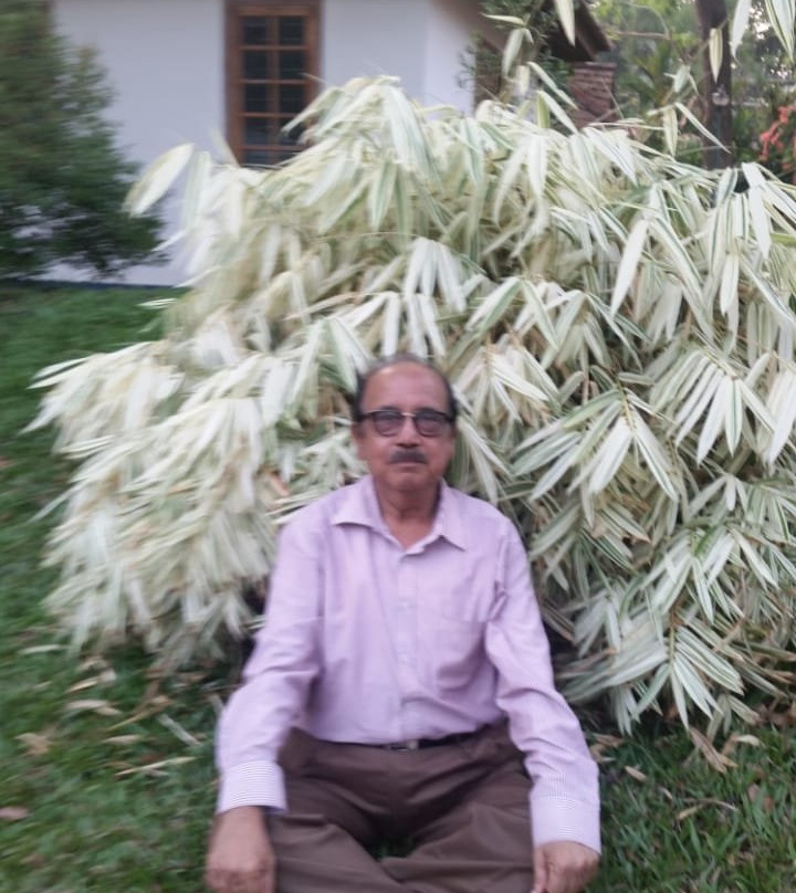 Ktdc Suvasam Kumarakom Gateway主图