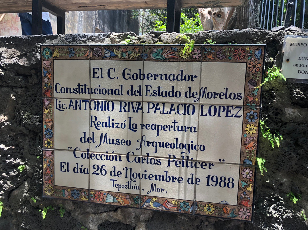 Museo de Arte Prehispánico Carlos Pellicer景点图片