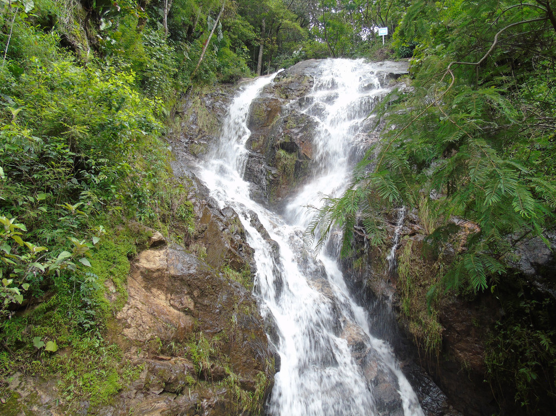 Cariamanga旅游攻略图片