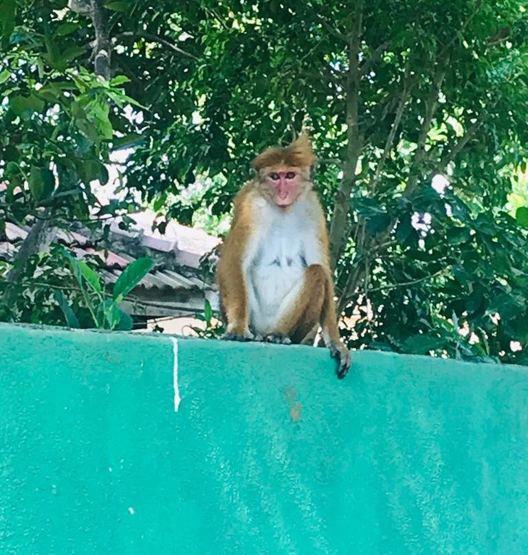 Kingdom Resort主图