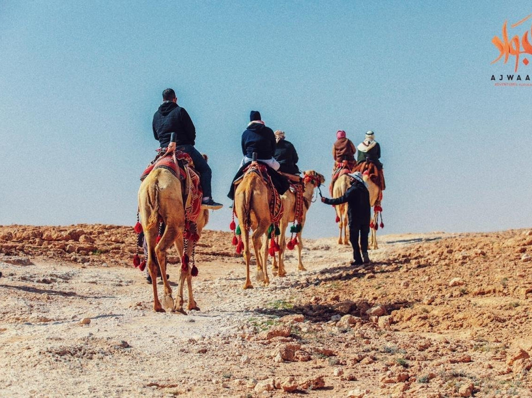 Ajwaad Group-利雅德必去景点