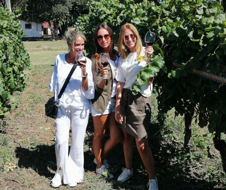 Bodega Los Cerros De San Juan-科洛尼亚·德尔萨克拉门托城必去景点