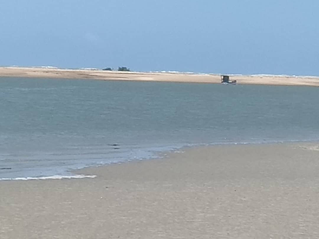 Magic Winds Kite House主图