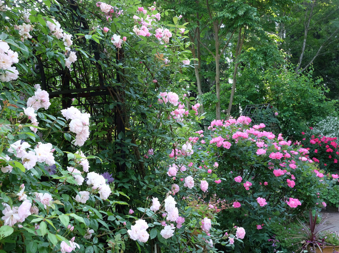 Naturel Garden Minamiaso-南阿苏村必去景点