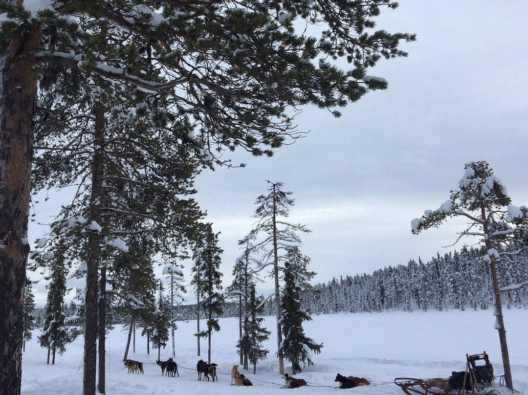 Active Lapland-基律纳必去景点