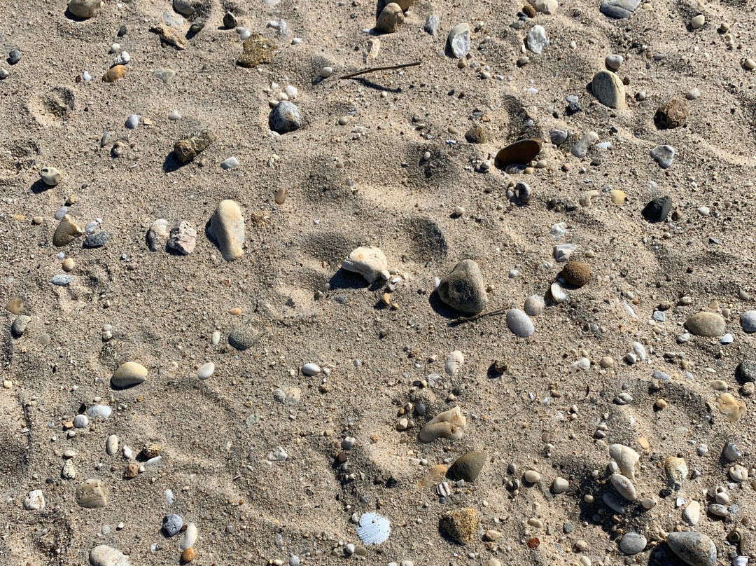 Havens Beach-Sag Harbor必去景点