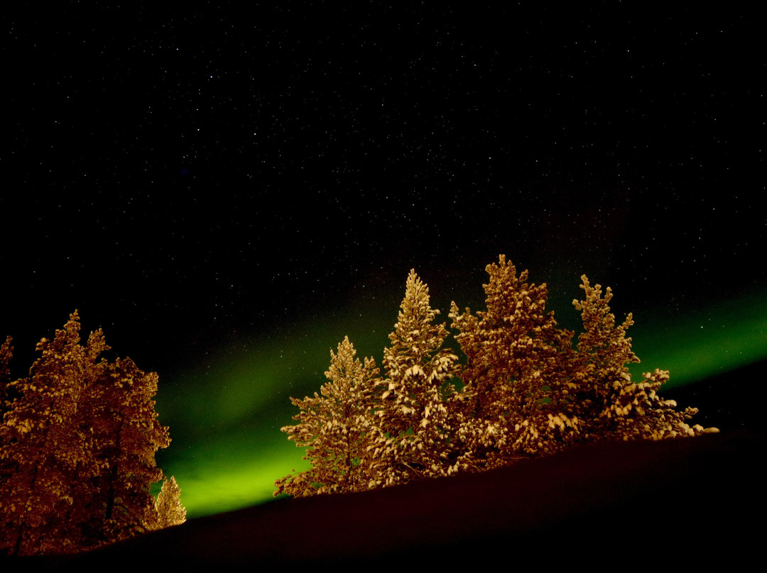 Wilderness Hotel Nangu主图