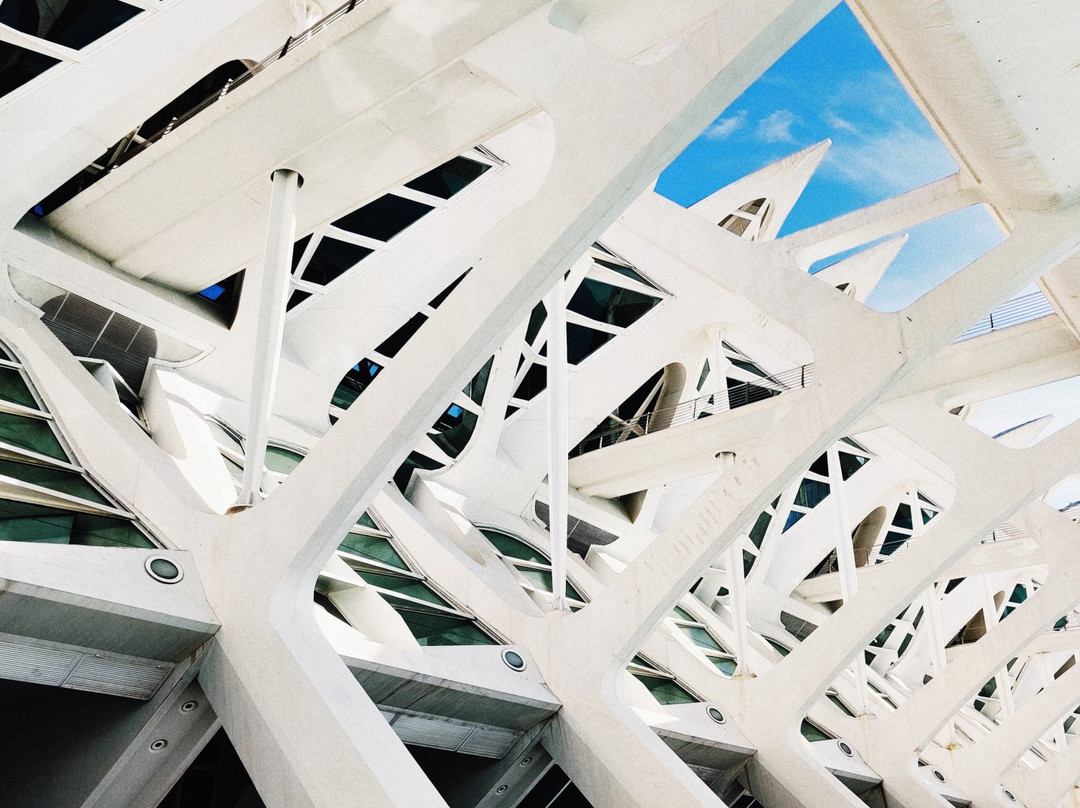 Palacio de las Artes Reina Sofía景点图片