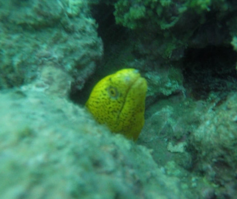 Companhia do Mergulho-莫罗圣保罗必去景点