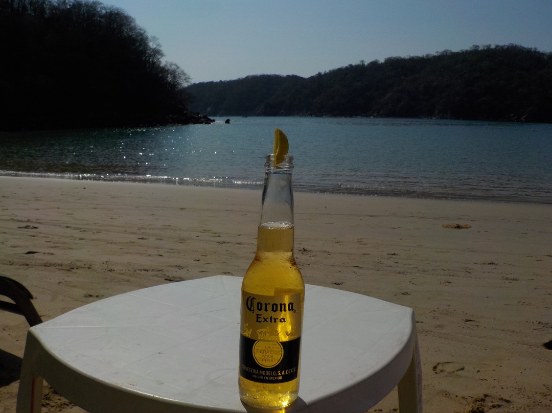 Bahía Maguey y el Órgano-瓦图尔科必去景点