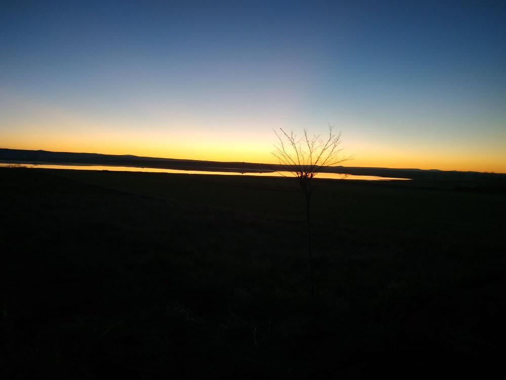 Reserva Natural de la Laguna de Gallocanta景点图片