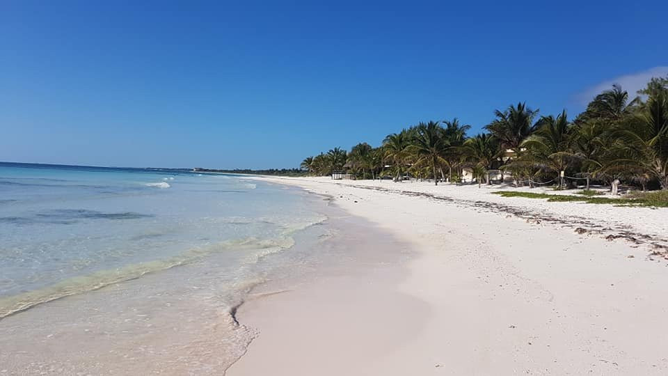 PavoReal Beach Resort Tulum主图