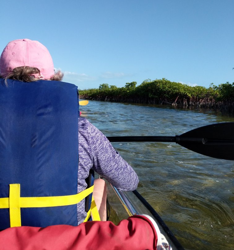 Clear Bottom Adventures-普罗维登西亚莱斯必去景点