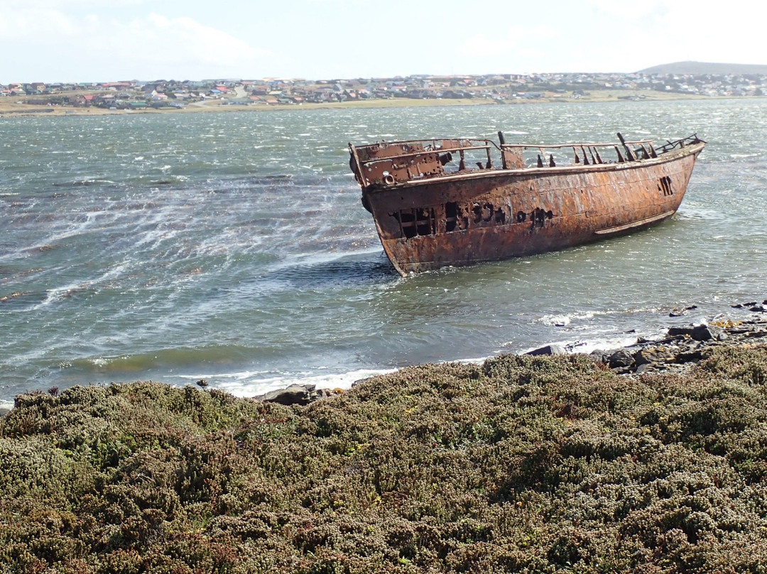 Lady Elizabeth Shipwreck-Stanley必去景点