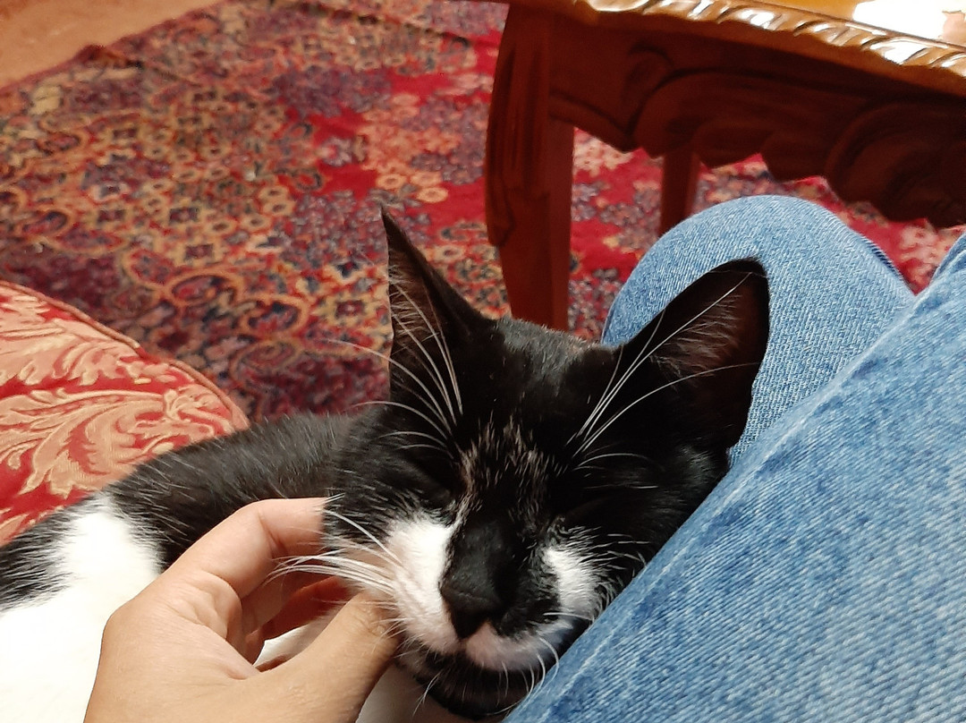 Hotel Museo Casona Ugarte Leon主图