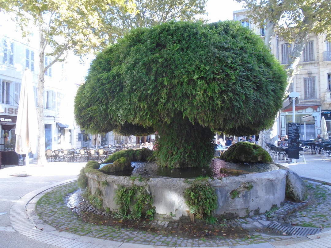 Fontaine Moussue景点图片