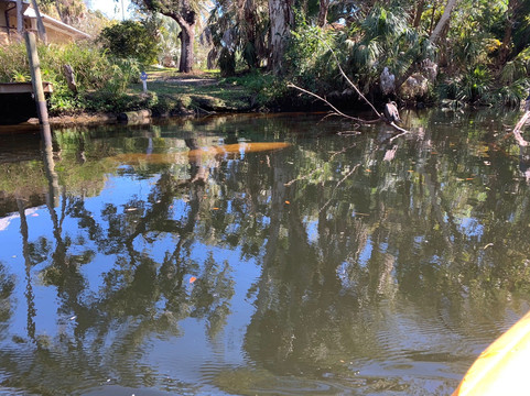 CGT Kayaks-博尼塔斯普林斯必去景点