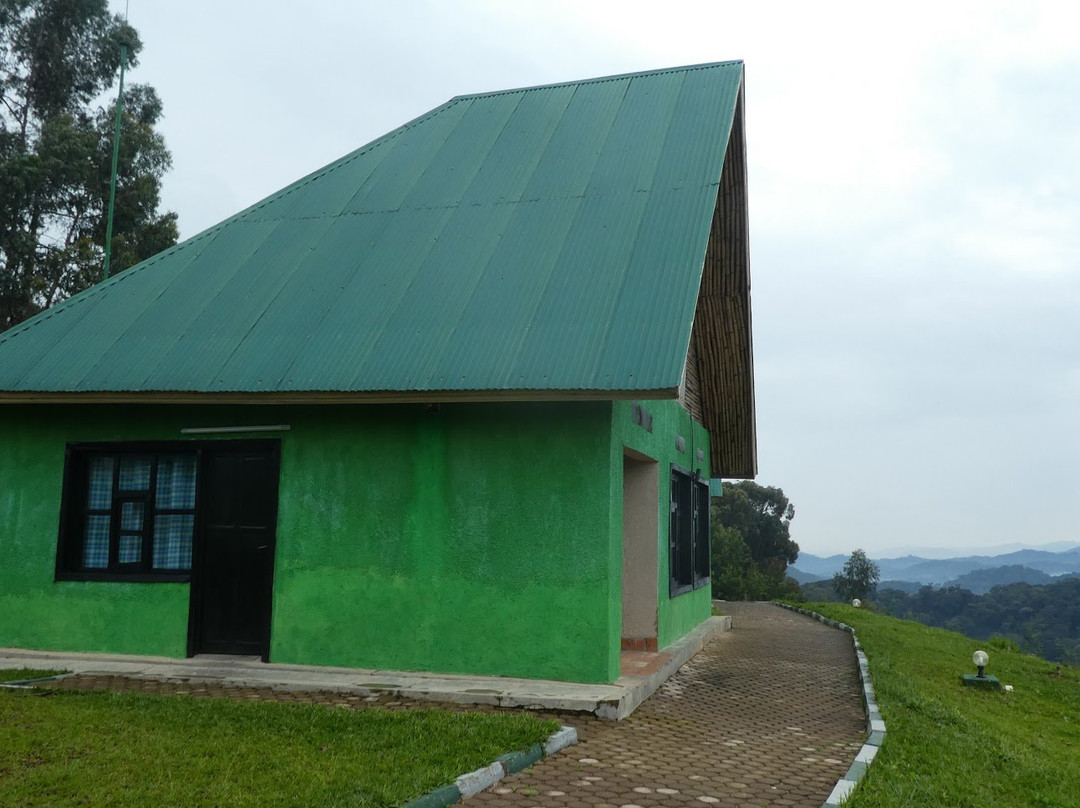 Nyungwe Nziza Ecolodge主图