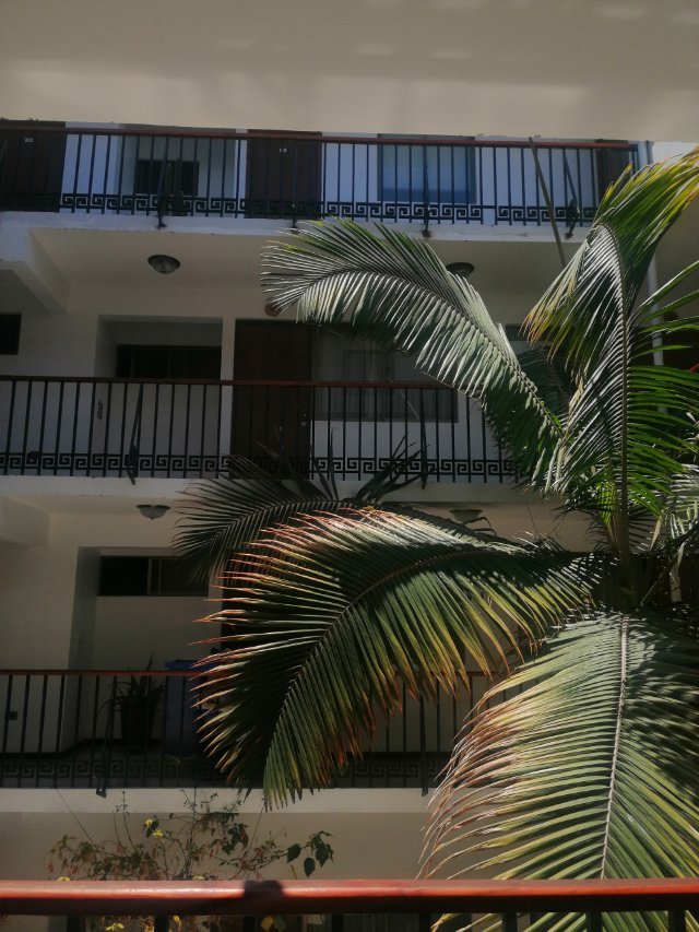 Hotel Samana-官方