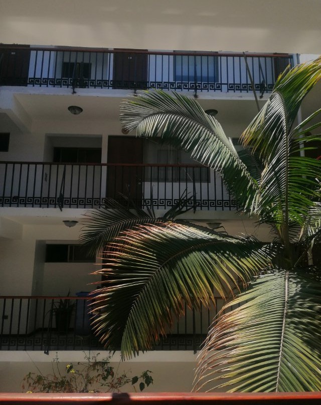 阿里卡酒店住宿-Hotel Samana