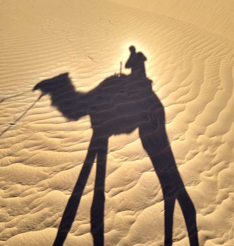 Tours From Fes-非斯必去景点