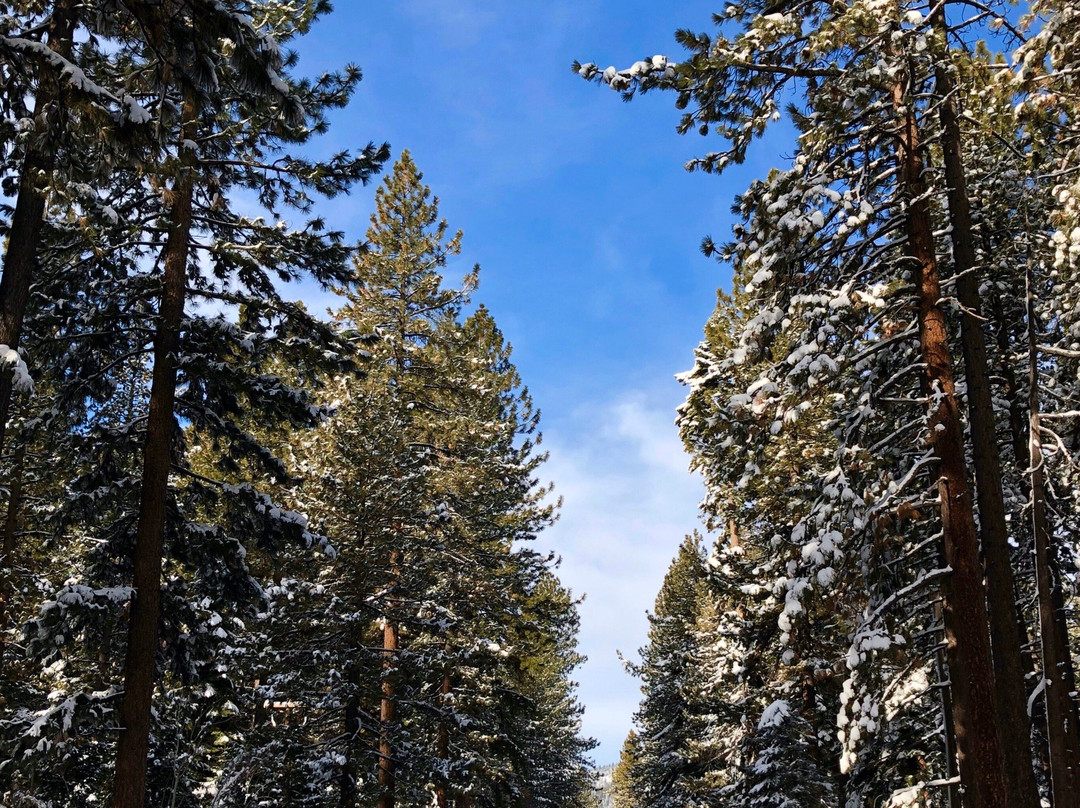 Incline Beach-因克莱恩村必去景点