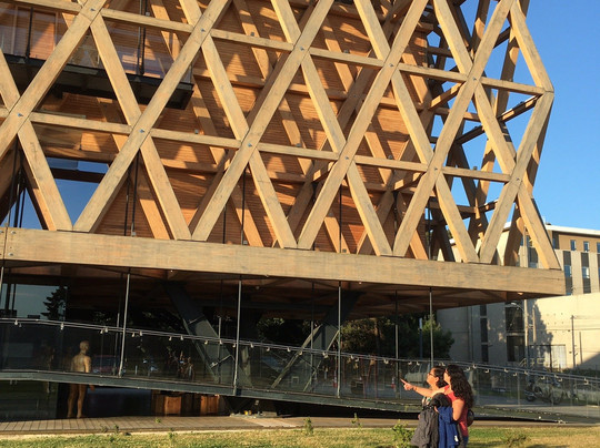 Pabellon El Amor de Chile-特木科必去景点