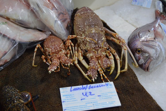 Mercado Municipal de Lagos-拉各斯必去景点