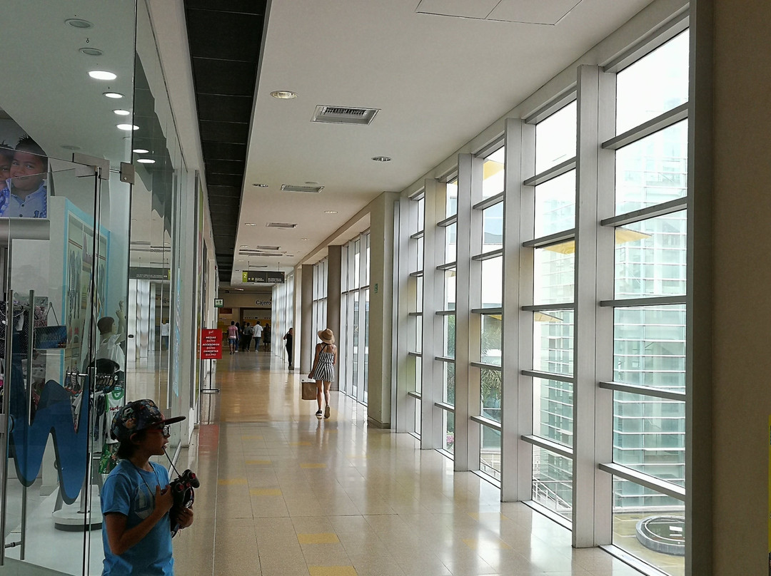 Centro Comercial Arrecife-圣玛尔塔必去景点