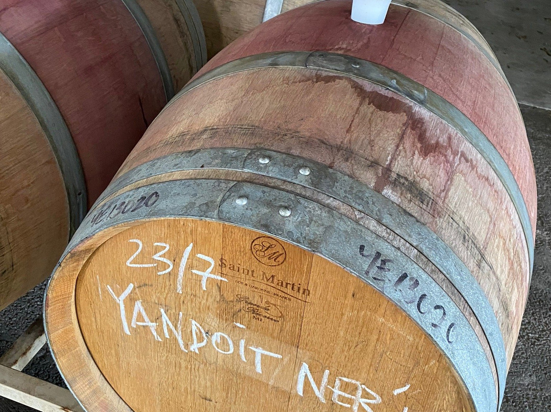 Musk Lane Wine-凯尼顿必去景点