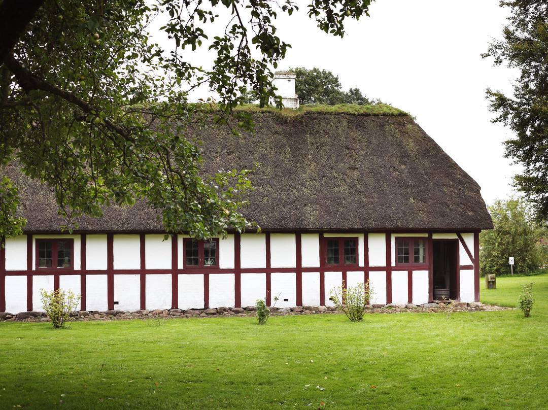 Frilandsmuseet Herning景点图片