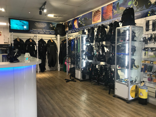 Into The Blue Scuba Centre-开普敦中心区必去景点