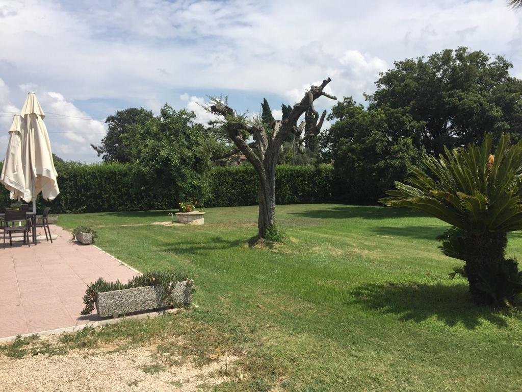 La casa del Moro主图